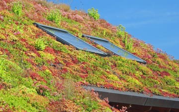 Marr Green living roof systems